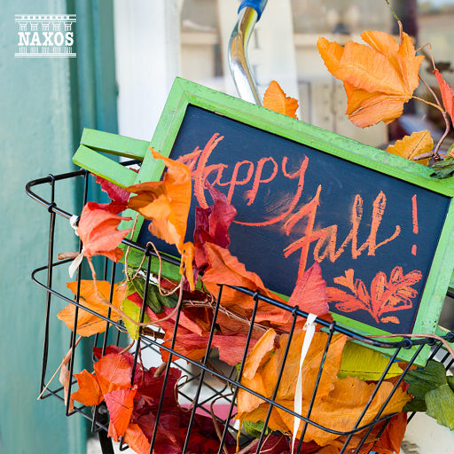 裸体美女2小时免费看
