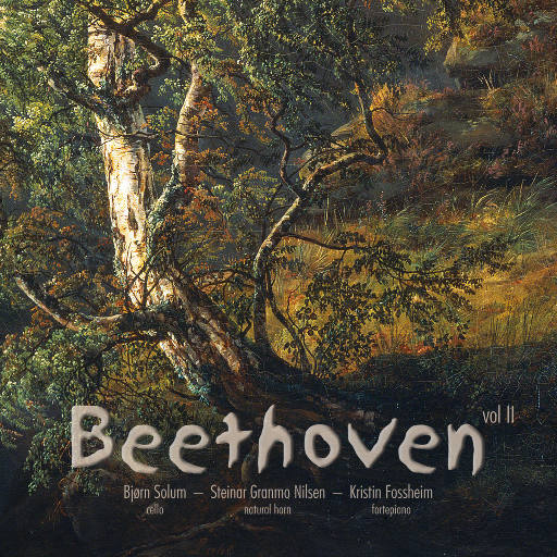 裸体美女2小时免费看
